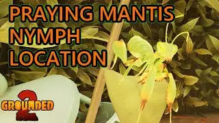 Grounded 2 Praying Mantis Nymph Location Guide. Where to Find Praying Mantis Nymph in Grounded 2