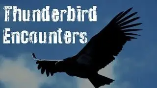 5 Mysterious Allegedly TRUE Thunderbird Stories