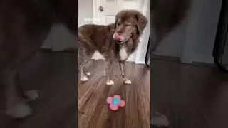 Teaching a new trick
