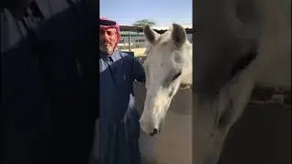 زيارة إلى مزرعة سدرة الشمال ..