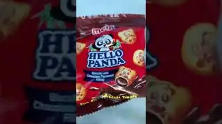 Hello panda chocolate #Asmr #shorts