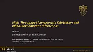 Lu Wang - Ph.D. Disseration - nano-production and nano-pollution