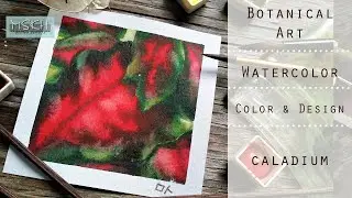 Watercolor Technique-Wiping(Lifting) Technique/Painting Caladium/Botanical Art/MSKH ART/ 수채화 닦아내기 기법
