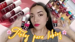 TINTAS para LABIOS ECONÓMICAS ✨