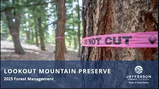 2025-2026 Lookout Mountain Preserve Forest Health Management Project