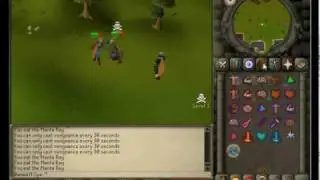 Runescape Private Server TurmoilScape317 0wned a sgs First Pvp Vid.