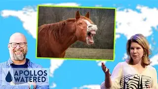 Which End of the Horse is HE? - Cherie Harder