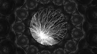 Micelios - Mandala
