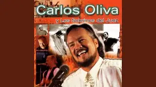 Pelotero La Bola