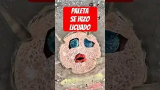 PALETA SE HIZO LICUADO