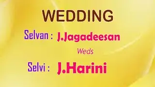 Reception : Jagadeesan Weds Harini 23.10.2025