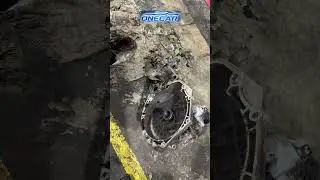 OneCar - все для твого авто