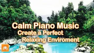 Nature Intelligence, Calm Music, Relaxing Music, Soft Music, Background Music ☯43