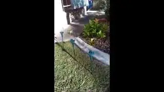 solar powered humming birds for garden