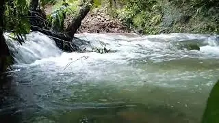 ASMR River Sounds 20 Minutes 🌊 Relaxing Natural Water Flow for Sleep, Study & Stress Relief