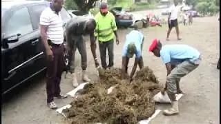 Caught in action, smuggling marijuana(CMTV PIDGIN NEWS)