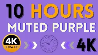 10 Hours of Muted Purple 4K Screen | Perfect for Chroma Key, Editing, and Relaxation
