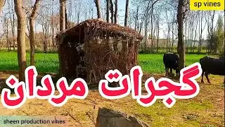 2023 new video mardan gujrat #pashto #mardan #gujrat
