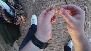 Quick Tip: How to use cooked mussels as fishing bait