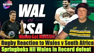 Springbok Rugby reaction to HIGHLIGHTS  Wales South Africa  Springboks nil Wales in record defeat