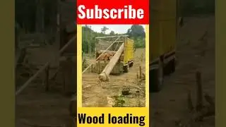 amazing techniques for heavy log loading #technique #loading #best #wood #shorts