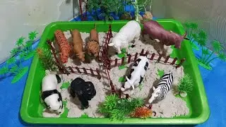 Toy Animals at the Zoo | Fun Animal Collection for Kids  