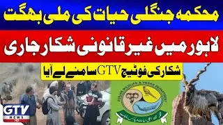 Wildlife Department Involvement in Poaching | GTV News Unviels Footage of Illegal Hunting | GTV News