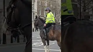 Mounted police horses truck crashed in to bus at horse guards #metpolice