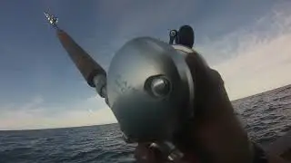 Offshore Fishing in Virginia Beach Overnight Fishing Charter