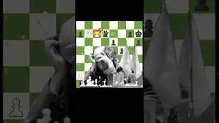 MIKHAIL TAL BRILLIANCY (7) ✨🤫|| #shorts #short #chess