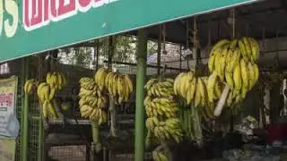 The Better India Self Sufficient Farming
