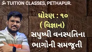 સપુષ્પી વનસ્પતિના ભાગોની સમજ 