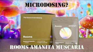 Twisted Tries Microdosing?1?!? Rooms Amanita Muscaria Capsule Review!