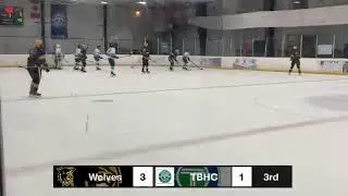 SAHOF game vs TBHC