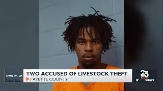 Fayette County deputies arrest cattle rustlers at livestock auction