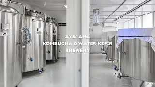 АЯТАНА пивоварня чайного гриба | Аятана.eu