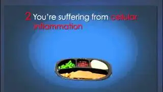 3 Week Diet System - Lose Weight Fast With Diet Plan and Exercise