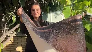 Original Contemporary Paintings | Art That Brings Joy to Your Space