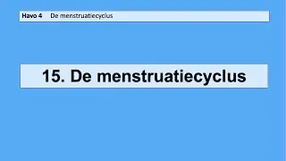 #15 De menstruatiecyclus