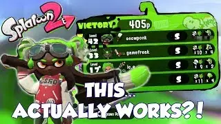 Playing MINIMAP ONLY in Splatoon 2 ... and it works? (...in S rank ... with an octobrush)