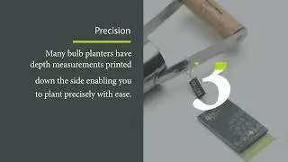 Reasons to use a bulb planter