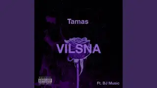 VILSNA