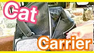 [2020] Texsens Cat Backpack Carrier review