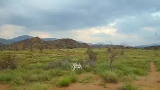 خبت بنى عيسى شرق القنفذه لعام ١٤٤١