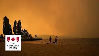 Canadian wildfire smoke killed thousands globally: study