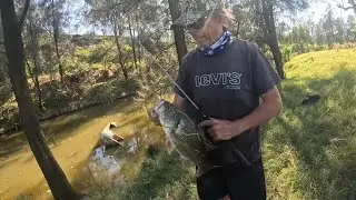 Urban Creek Fishing At It,s Best. (WARNING This Video Contains Some BFS)