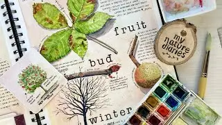 Beginner Watercolor Painting Tips for Trees in your Nature Journal