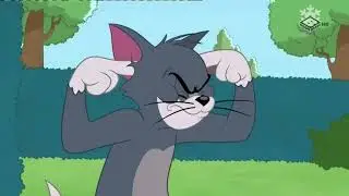 SnapSave io Tom si Jerry ~   Popandaul   ~ Desene animate traduse dublate in romana