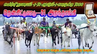 1சின்னமாடு அறந்தாங்கி (13.01.2026) வெள்ளிநாணயம் பந்தயம் #perai_raj_digital