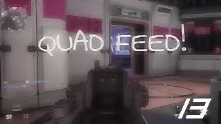 Nice Little Quad Feed!